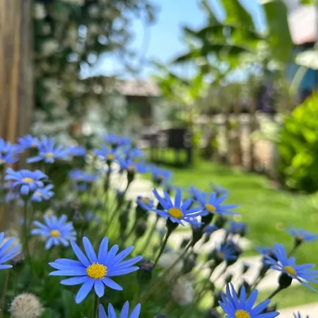 Pupa Alacati Butik Çeşme