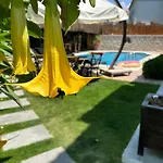 Pupa Alacati Butik * Cesme