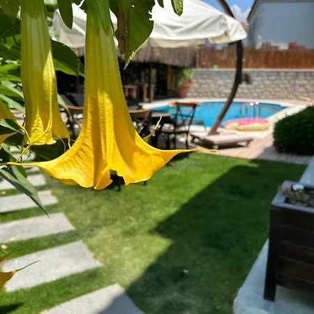 Pupa Alacati Butik * Çeşme