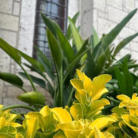 Pupa Alacati Butik فندق Çeşme