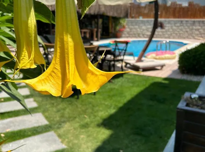 Pupa Alacati Butik * Çeşme