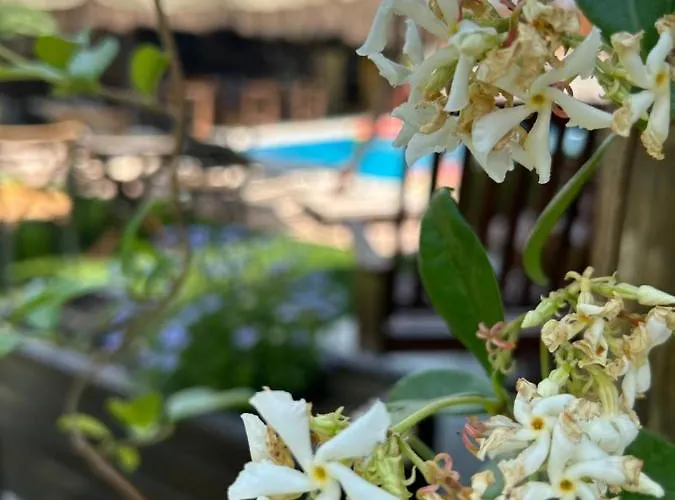 Szálloda Pupa Alacati Butik Çeşme